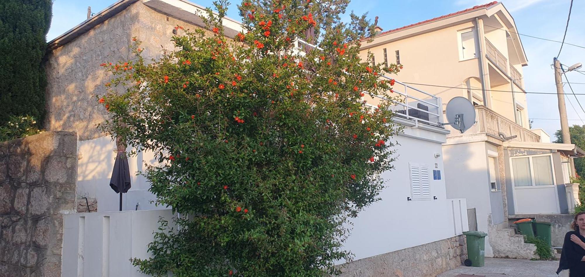 Apartmani Sara Marija Karlobag Bagian luar foto