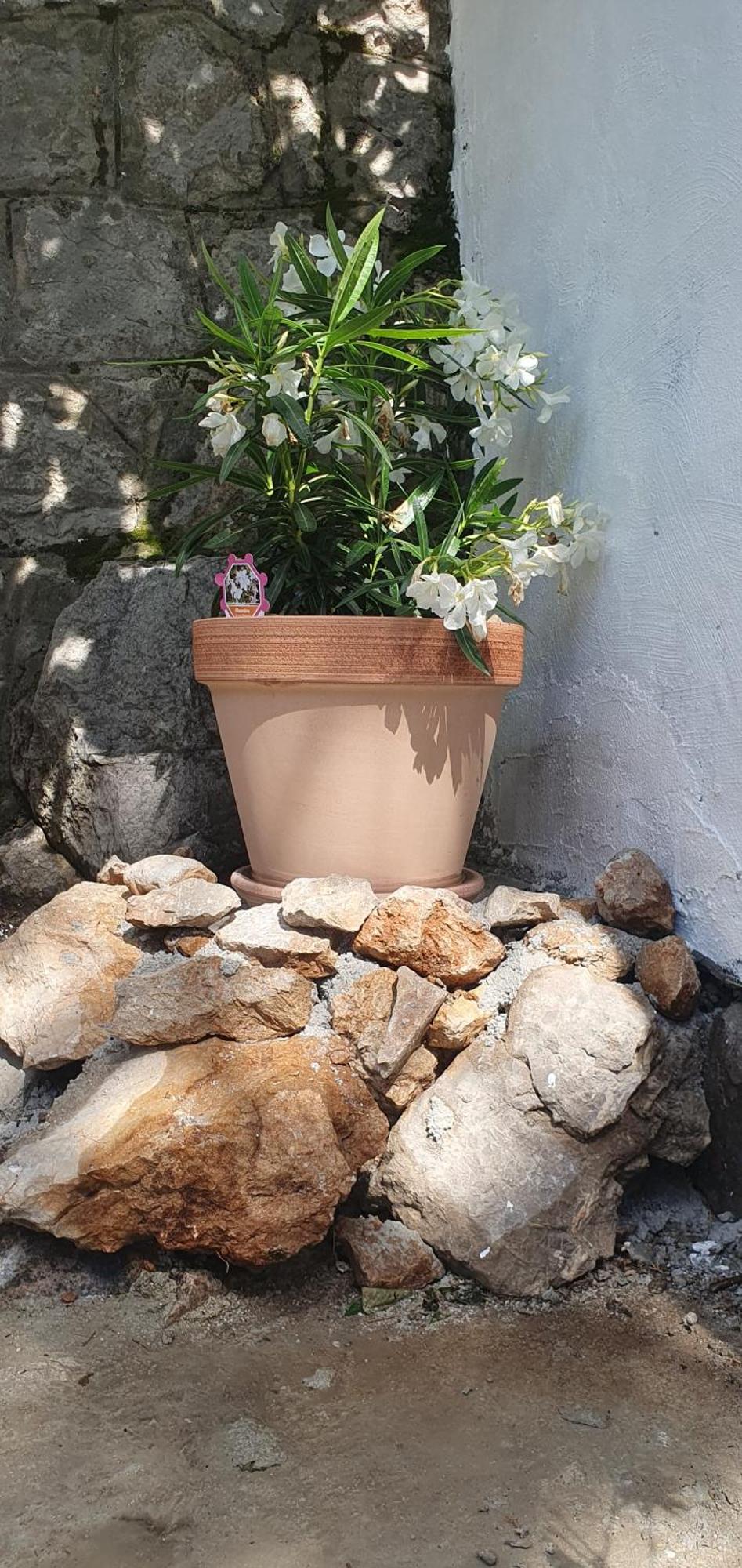 Apartmani Sara Marija Karlobag Bagian luar foto